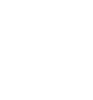 Government Authority
